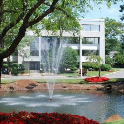 Lynnfield Woods 220 West Broadway