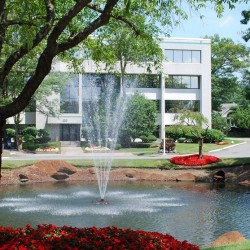 Lynnfield Woods 220 West Broadway